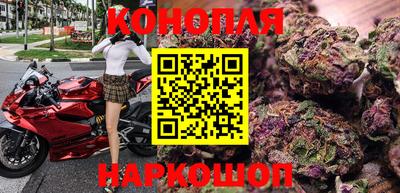 сатива Донской