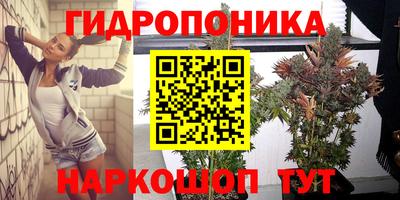 метадон Дубна