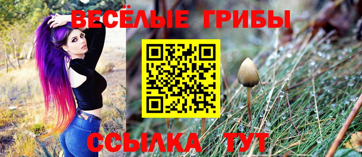 Псилоцибиновые грибы GOLDEN TEACHER  Вход с VPN  Луга  Галлюциногенные грибы ЛСД 