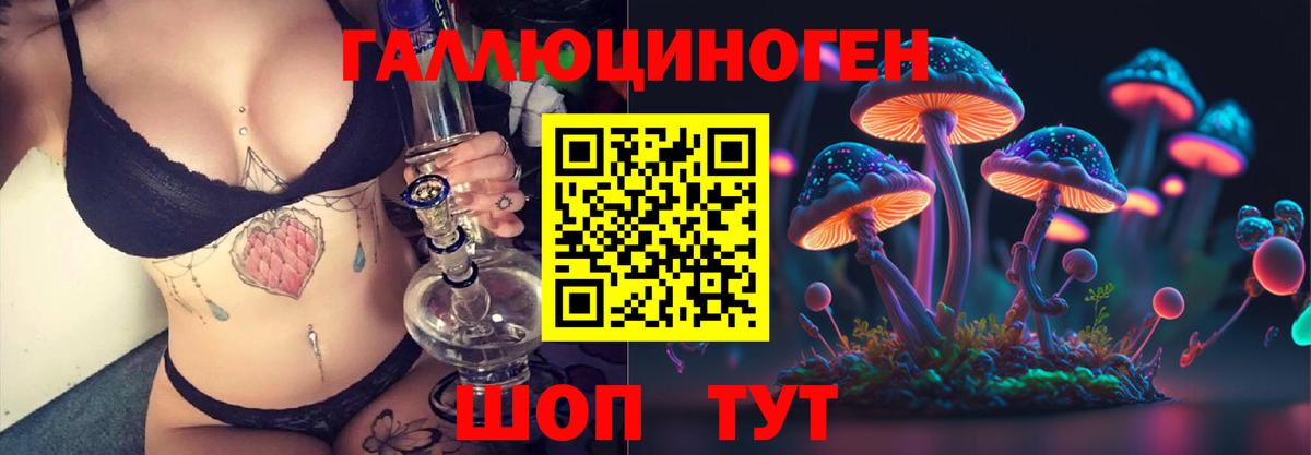 Псилоцибиновые грибы Psilocybine cubensis Луга